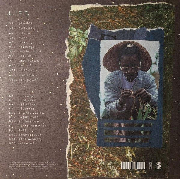 新品 Jinsang / Life. LP レコード 9874857-