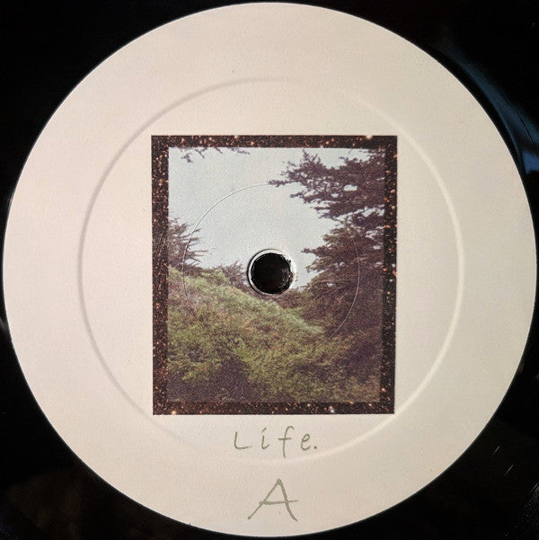 Jinsang : Life. (LP)