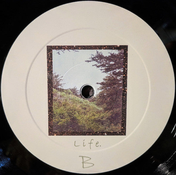 新品 Jinsang / Life. LP レコード 9874857-