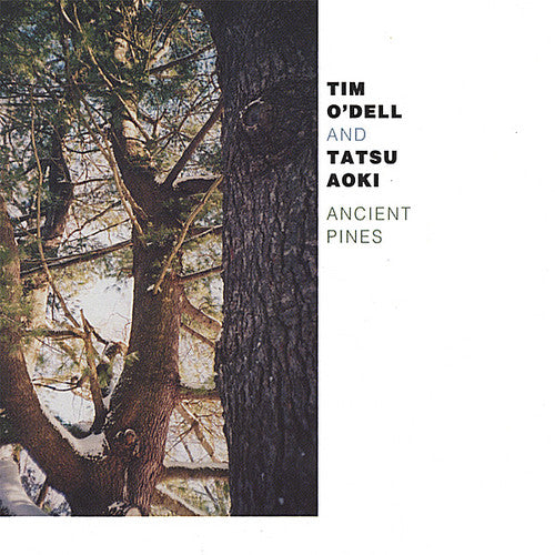 the album cover for Odell/Aoki - Ancient Pines