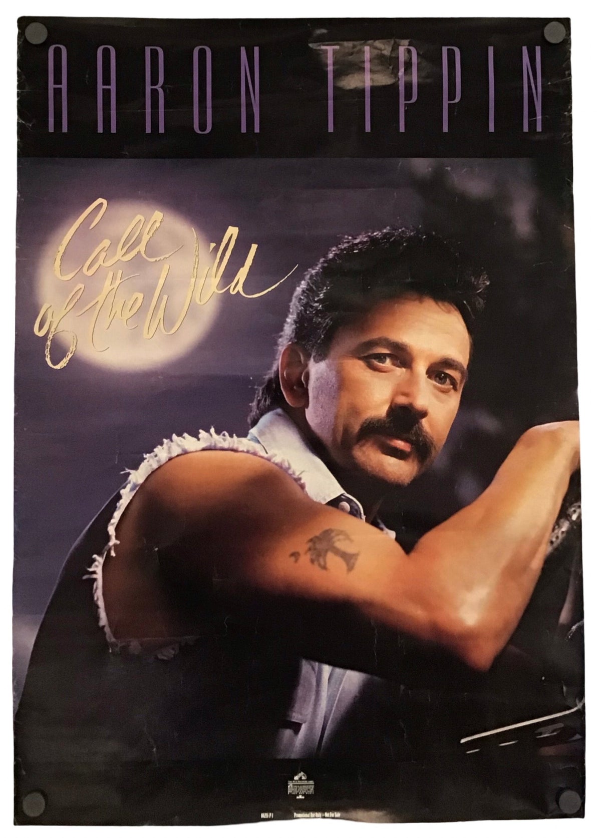 A vertical Aaron Tippin promo poster or print featuring a portrait of the artist, with 'AARON TIPPIN' in large purple text at the top and a gold script signature reading 'Call of the Wild' on the left.