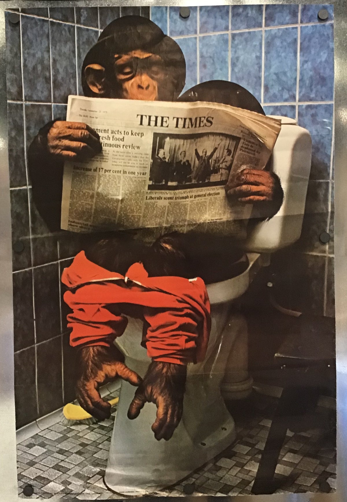 A square photographic print or poster mounted on a metallic wall, showing a chimpanzee sitting on a toilet in a tiled bathroom and reading a newspaper titled THE TIMES.