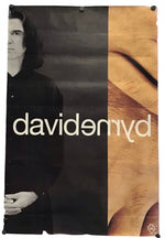 A vertical David Byrne poster featuring a black-and-white portrait of the band member on the left and a warm tan abstract background on the right, with the text 'davidenryb' printed across the center.