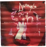 Divinyls - What a Life! Promo Poster