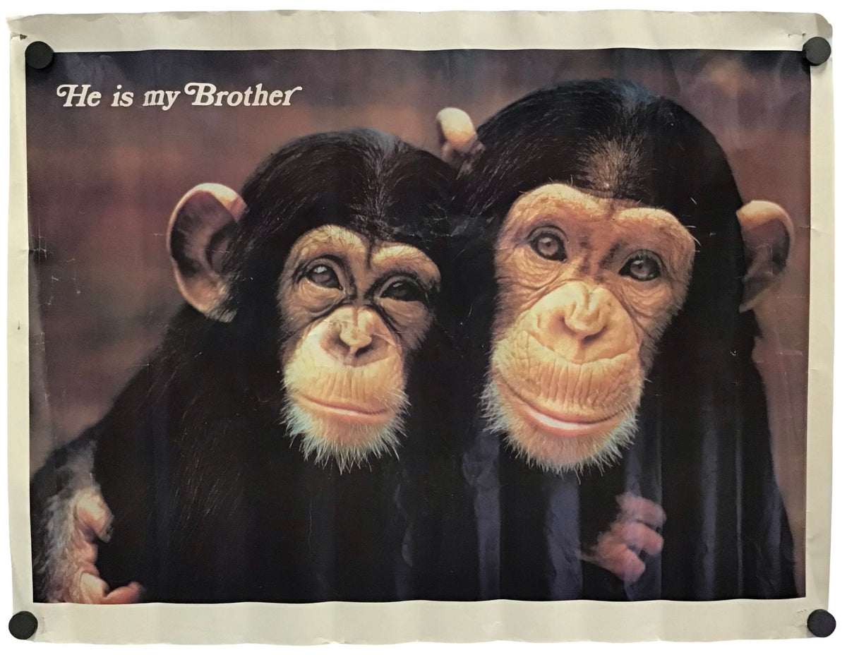"He Is My Brother" - Vintage Chimp Poster