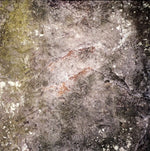Main - Terminus [Pre-Owned CD]