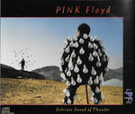 Pink Floyd - Delicate Sound Of Thunder [Pre-Owned CD]