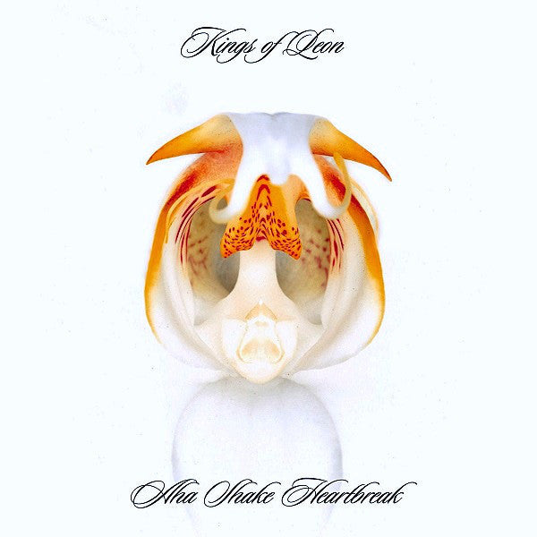(中古品) Kings Of Leon - A-Ha Shake Heartbreak