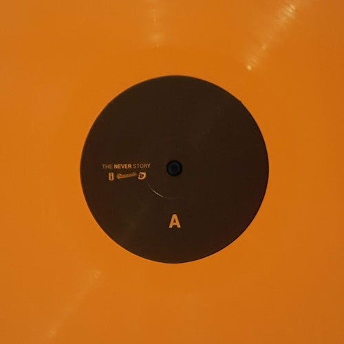 J.I.D : The Never Story (LP, Album, Ora)