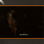 Lambchop - Showtunes [Pre-Owned CD]