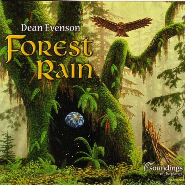 Dean Evenson - Forest Rain [Pre-Owned CD]