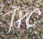 【中古】Tokyo Police Club - Tpc