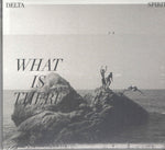 Delta Spirit - What Is There [Pre-Owned CD]