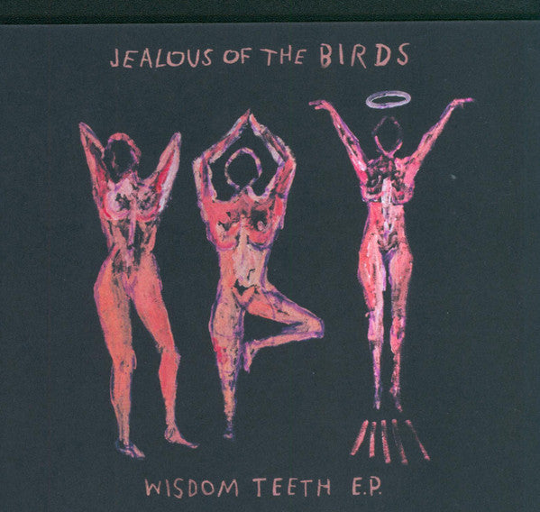 Jealous Of The Birds - Wisdom Teeth [Pre-Owned CD]