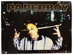 A vintage Paperboy 'City to City' album poster on a white background. The poster features a black background with the artist's name 'PAPERBOY' in large gold-outlined letters at the top, and a photo of the artist in a blue and white striped shirt holding a sign in a city setting at the bottom.