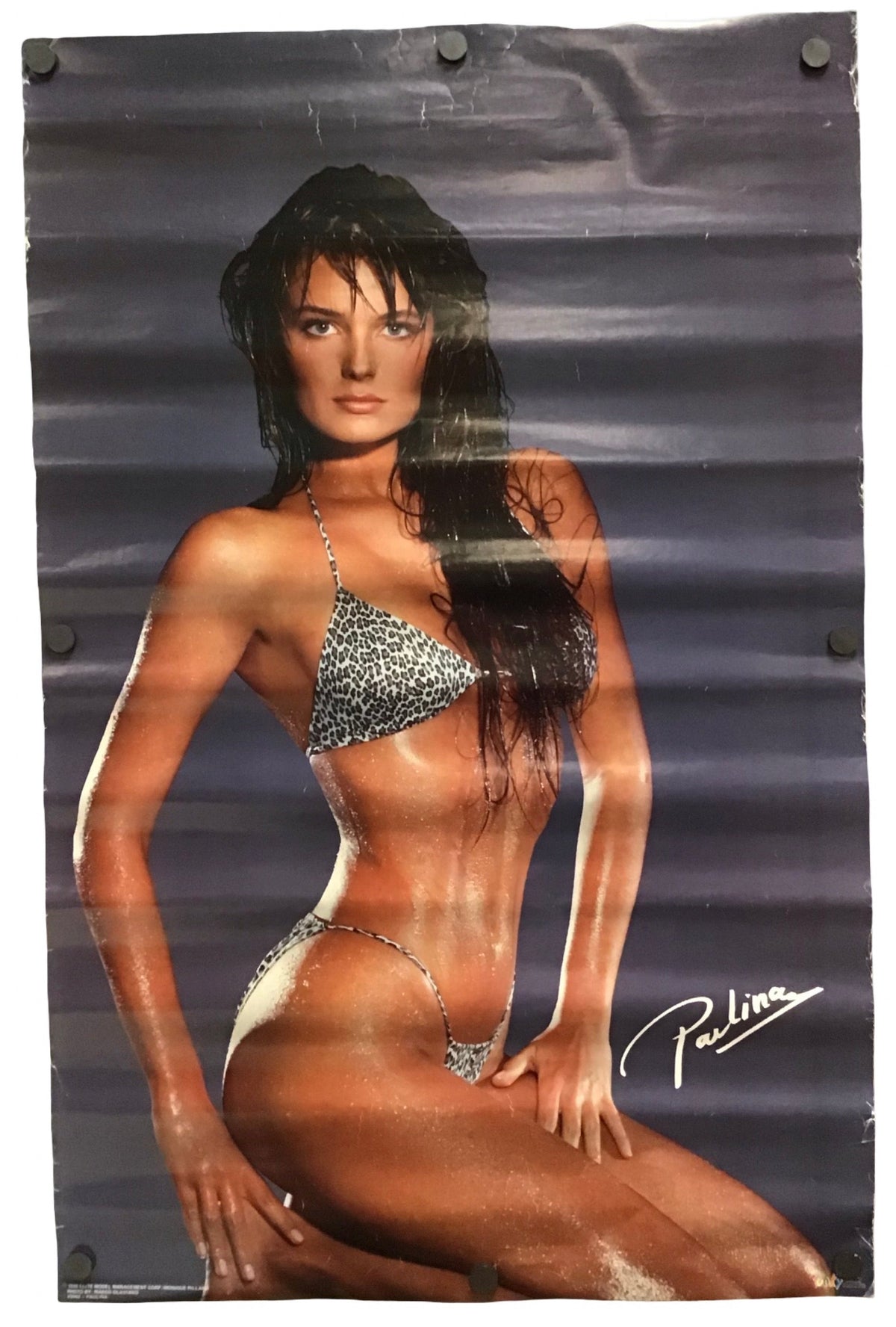 Paulina Porizkova - Glam Poster