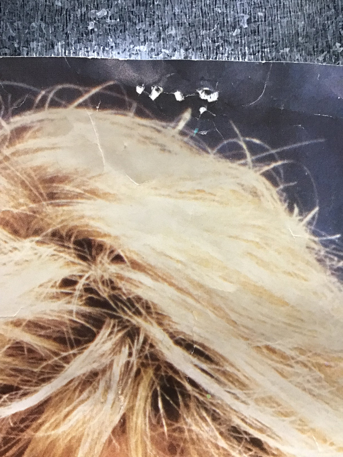 Kathy Smith - Poster