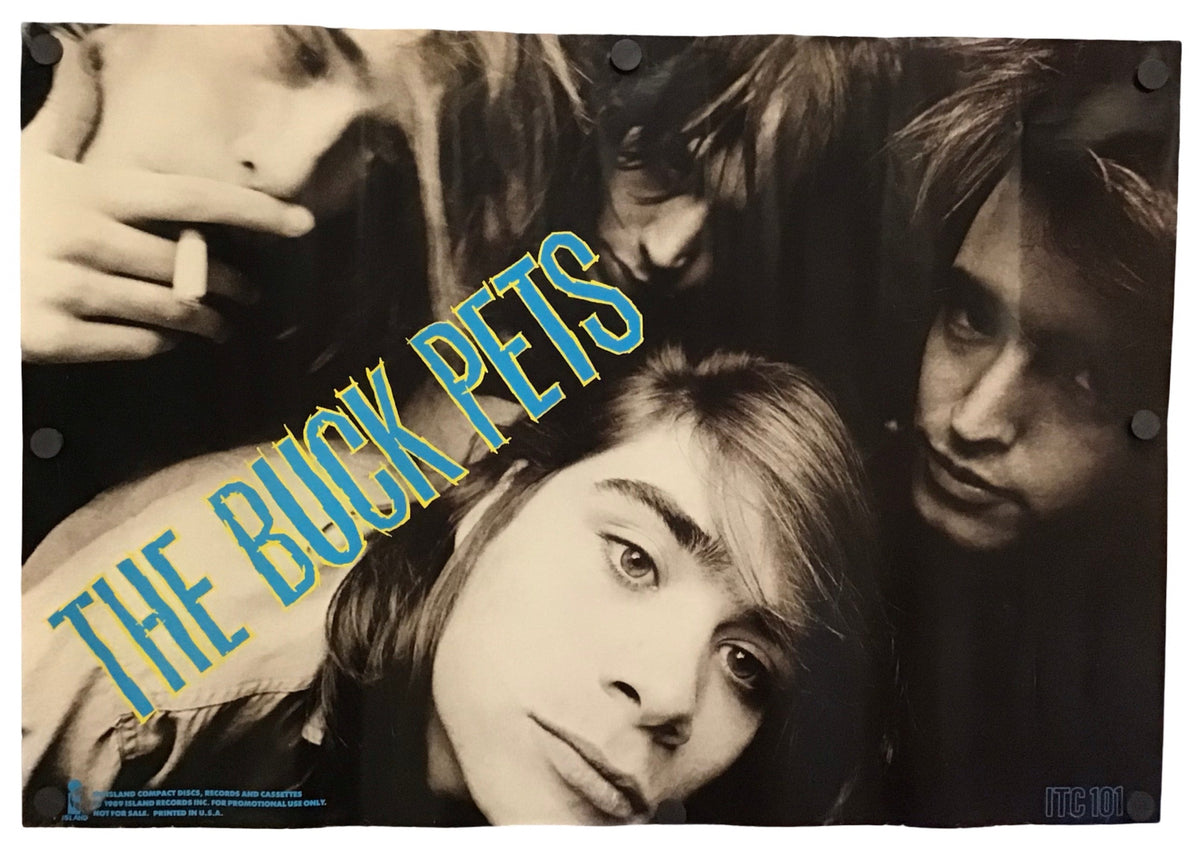 Vintage band poster for 'The Buck Pets' featuring a black and white group portrait with bold blue text reading 'THE BUCK PETS' across the center, shown against a plain white background.