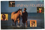 A Whitney Houston 'The Human Search for Meaning' 12x12 inch poster mounted on a white wall. The poster features a large photo of Whitney Houston walking with a horse in the ocean, with smaller inset photos and the text 'Whitney Houston' in orange.