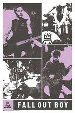 Fall Out Boy Panel Poster - 24" X 36"