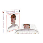 David Bowie Aladdin Sane (rompecabezas de 500 piezas)